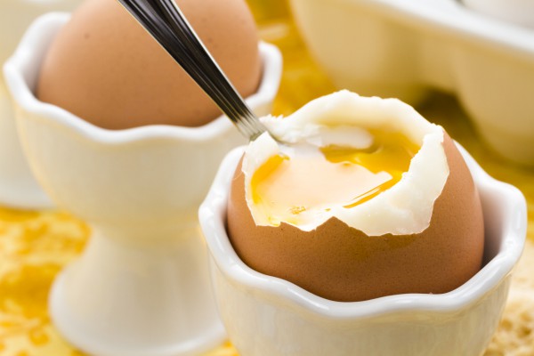 Заражение сальмонеллезом через яйца