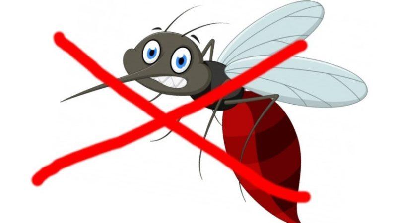 Как отпугивать комаров?